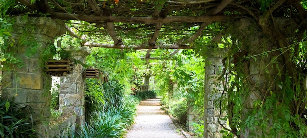 늦은 여름 시즌에 밝은 색상의 Pergola 구조의 정원. 이 건축물과 디자인은 자연에서 영감을 받았습니다.