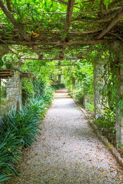 늦은 여름 시즌에 밝은 색상의 Pergola 구조의 정원. 이 건축물과 디자인은 자연에서 영감을 받았습니다.