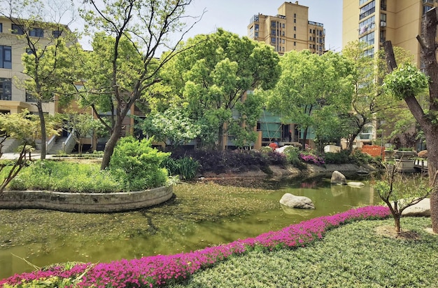 A garden with a pond and a building in the background