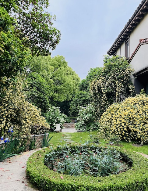 A garden with a pond and a house in the background