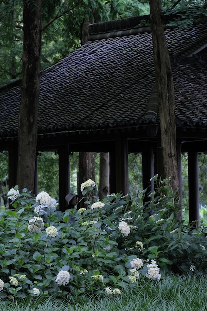 A garden with a roof that has a white flower on it