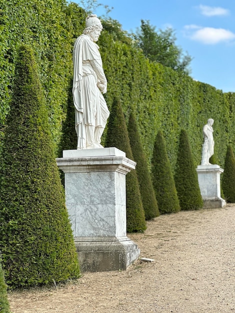 사진 조각품과 함께 정원 세부 사항 배경 베르사유 궁전