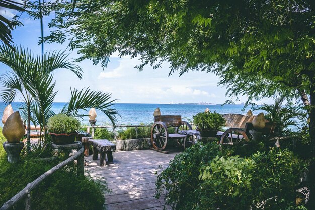 Photo a garden with a view of the ocean and a bench with a view of the ocean