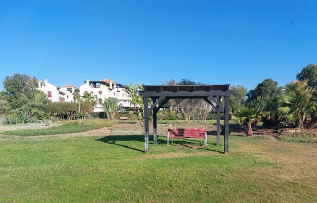 A garden with a wooden bench and a tree in the background