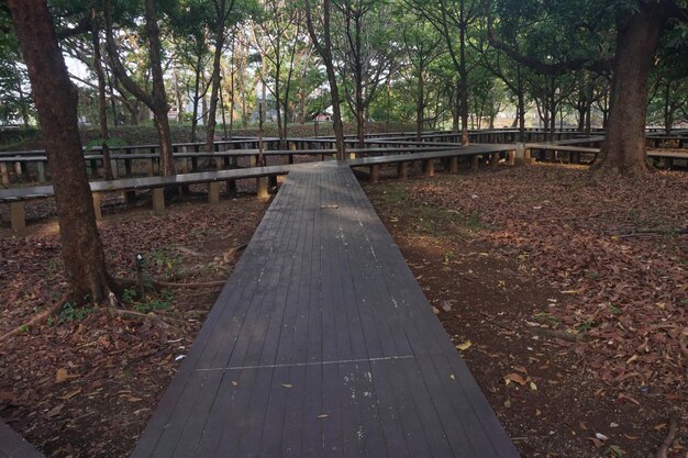 Photo garden with wooden bridge and shady trees