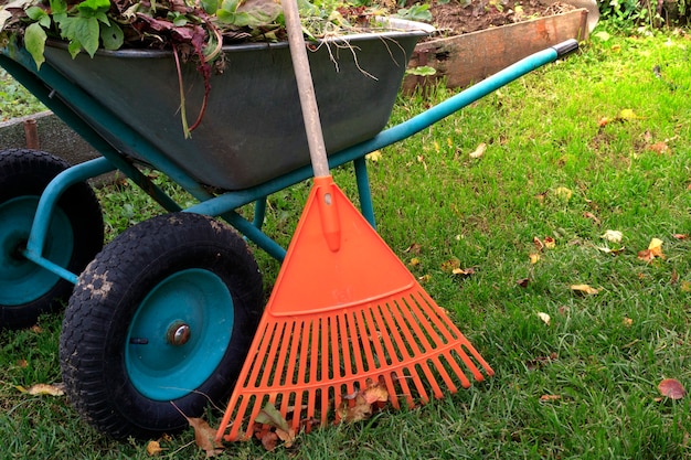 Garden work, Garden rake and wheelbarrow in the garden. The concept of garden work on harvesting foliage, vegetable residues.