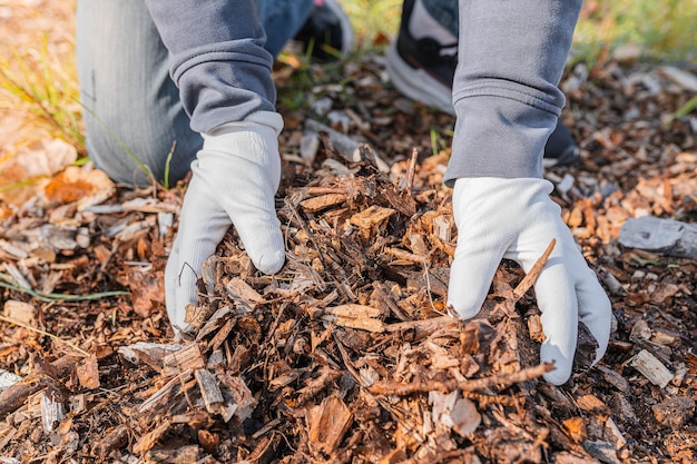 Garden work mulching plants