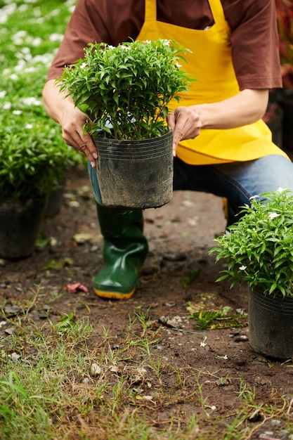 Operaio di giardino che pianta fiori