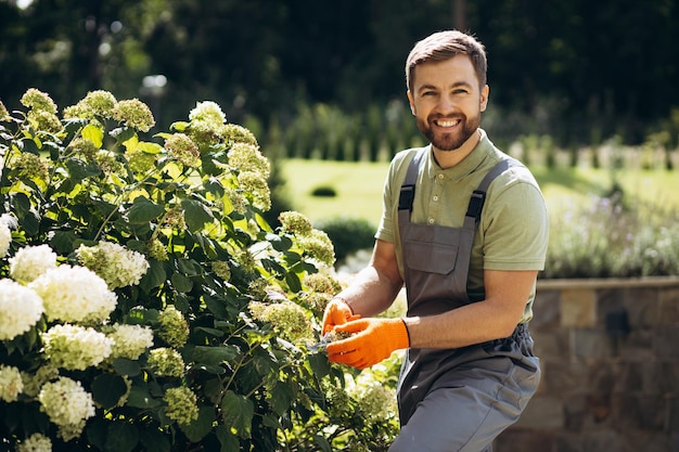 Photo garden worker trimming flower bushes with garden scissors