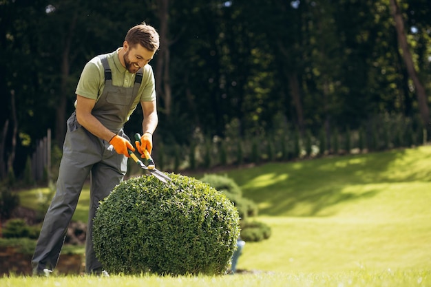 Photo garden worker trimming trees with scissors in the yard