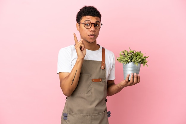 Gardener African man holding a plant isolated on pink background intending to realizes the solution while lifting a finger up