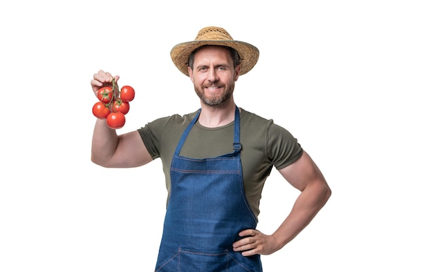 Gardener in apron and hat with tomato bunch isolated on white