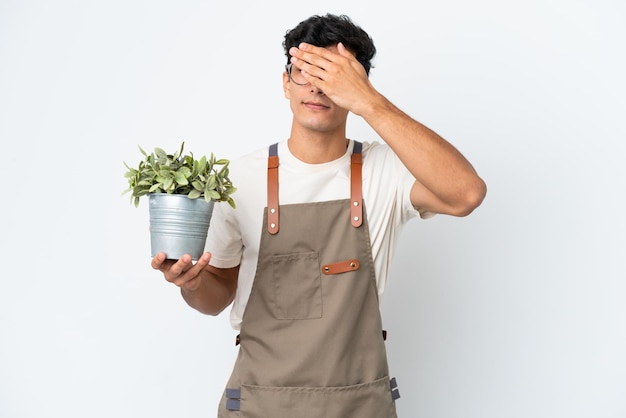 정원사 아르헨티나 남자는 손으로 눈을 덮고 흰색 배경에 고립 된 식물을 들고 뭔가를보고 싶지 않습니다