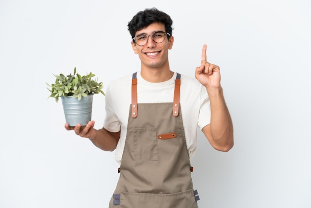 Садовник аргентинский мужчина держит растение, изолированное на белом фоне, указывая вверх прекрасную идею