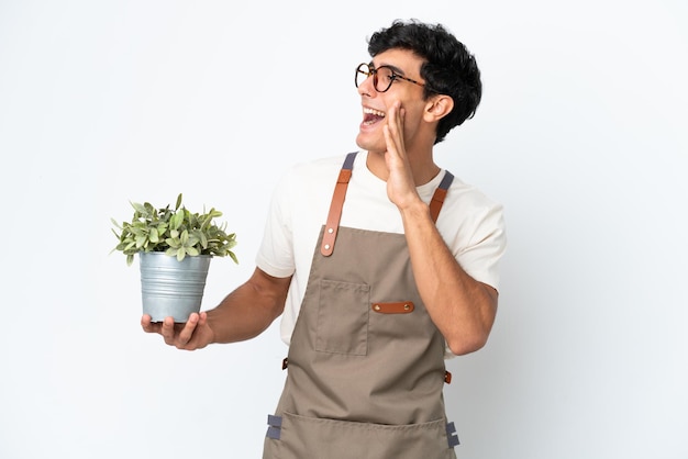 Gardener Argentinian man holding a plant isolated on white background shouting with mouth wide open to the side