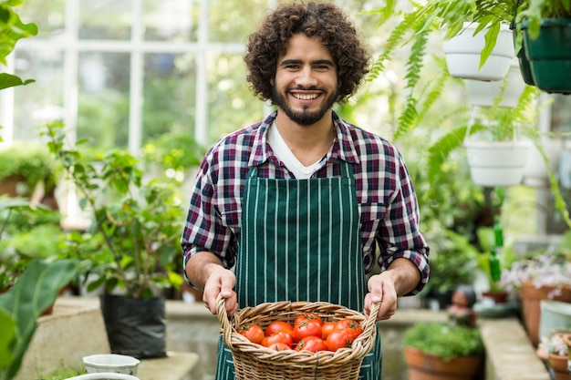 Gardener carrying fresh tomatoes in wicker basket