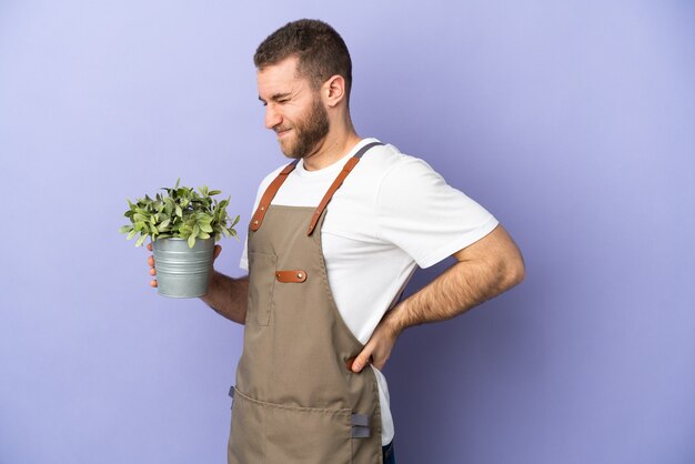 努力したために腰痛に苦しんで黄色の壁に隔離された植物を保持している庭師の白人男性