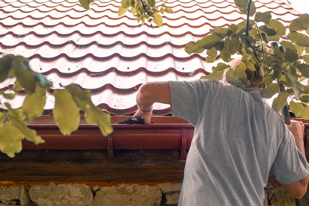 A gardener cleans the gutter of a drainpipe from dry leaves Prevention of drain clogging