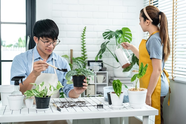 Gardener couple in casual clothes, potting new plant and take care of plants to watering plants in ceramic pots with watering can in the room at home while hobby activity together