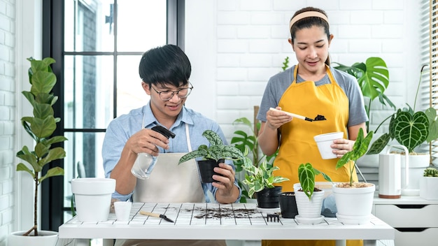 Gardener couple in casual clothes, preparing soil for transplanting plant into a new pot and using spray bottle watering plants to take care of plants in the room at home while hobby activity together