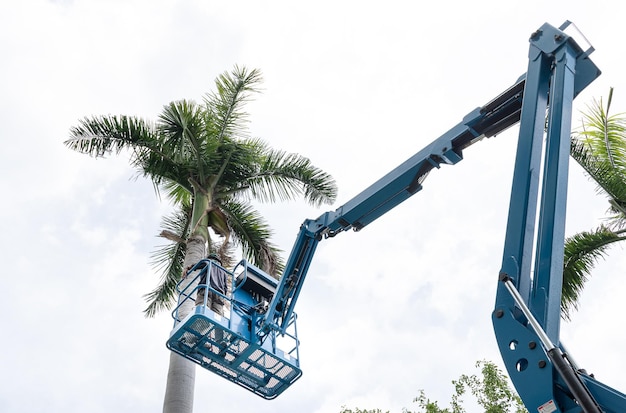 Gardener cutting branches on crane basket unsafe concept