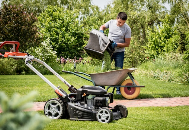 Gardener emptying lawn mower grass into a wheelbarrow after mowing.