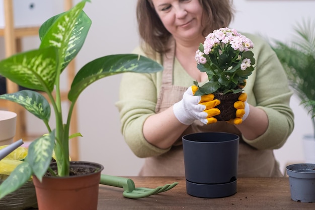 庭師は、熟練した花屋の助けを借りて移植された植物の土壌を肥やし、土壌を豊かにします