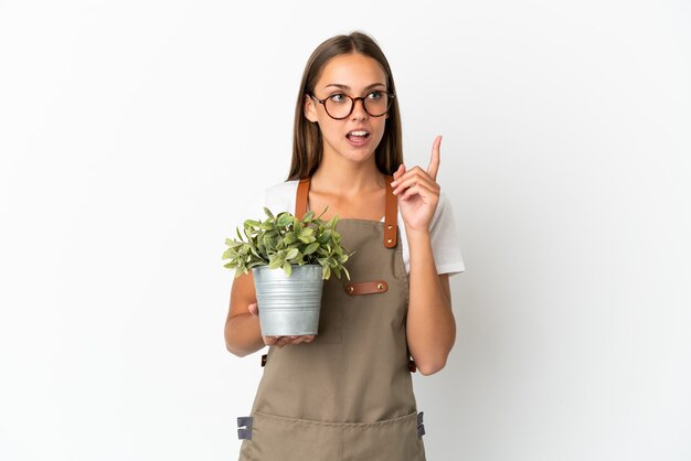 指を上に向けるアイデアを考えて孤立した白い背景の上に植物を保持している庭師の女の子