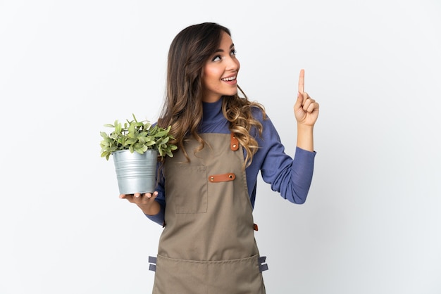 Gardener girl holding a plant isolated on white wall pointing up a great idea