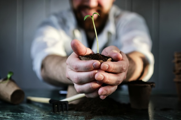 Gardener hand sprout table