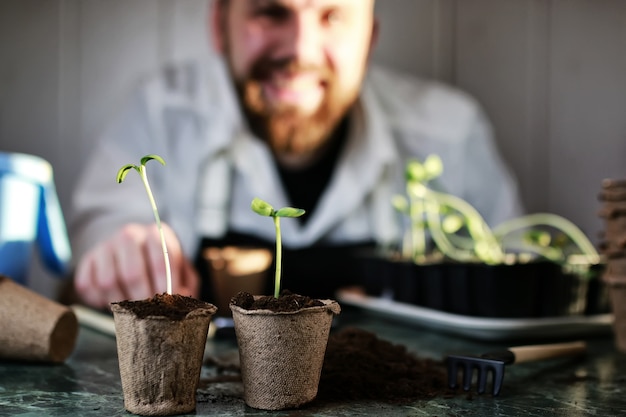 Gardener hand sprout table