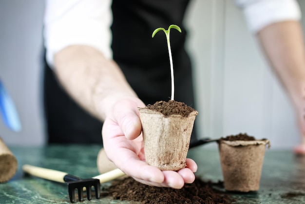 Gardener hand sprout table