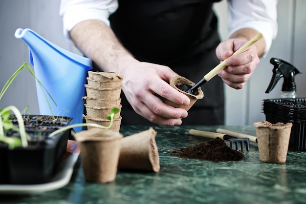 Gardener hand sprout table