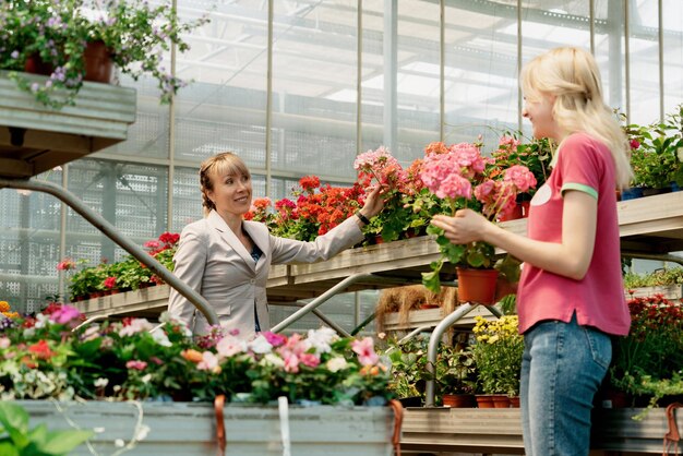 Gardener and his manager work in modern nursery plant store with a clipboard in greenhouse