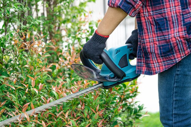 Gardener holding electric hedge trimmer to cut the treetop in garden