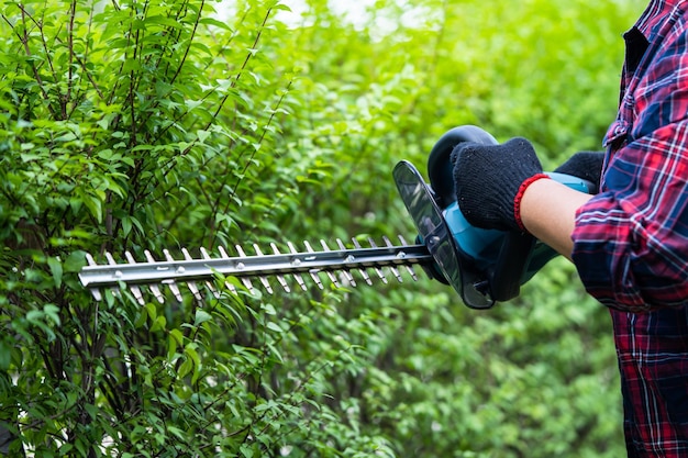 Photo gardener holding electric hedge trimmer to cut the treetop in garden