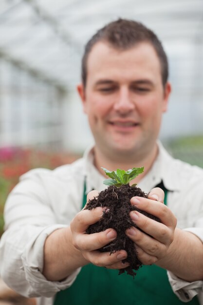 Photo gardener holding shrub about to plant