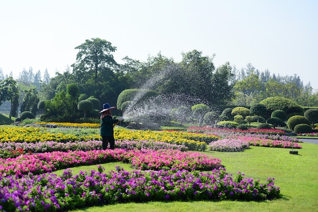 庭師は、Long 9 Parkの公園で花に水をまきます。