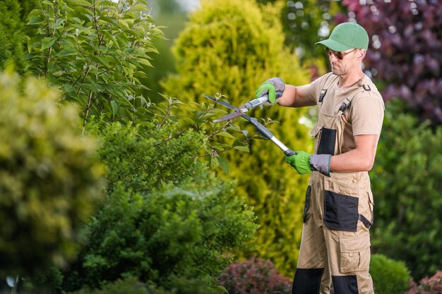 Gardener landscaping at lawn