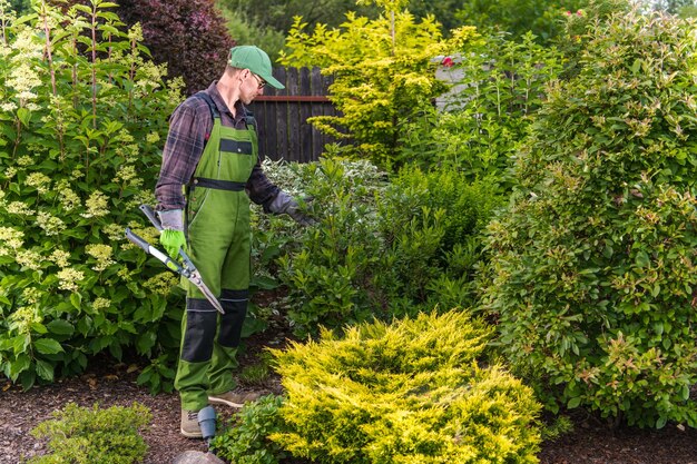 Foto giardiniere che arricchisce il prato