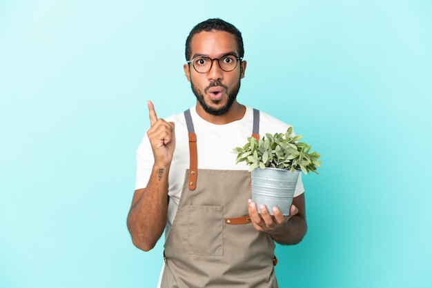 Gardener latin man holding a plant isolated on blue background intending to realizes the solution while lifting a finger up