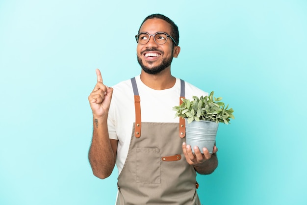 Латиноамериканец-садовник держит растение на синем фоне, указывая на отличную идею