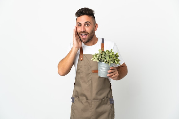 Uomo del giardiniere che tiene una pianta sopra fondo bianco isolato con l'espressione facciale sorpresa e scioccata