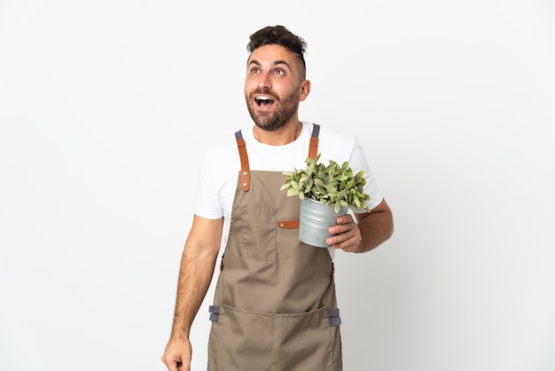 Foto uomo del giardiniere che tiene una pianta sopra la parete bianca isolata che osserva in su e con l'espressione sorpresa