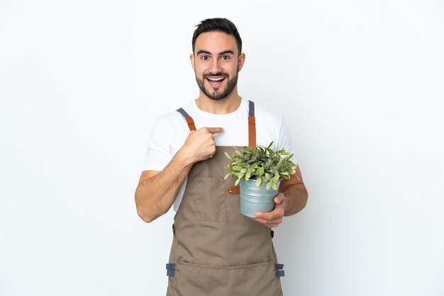 驚きの表情で白い壁に隔離された植物を保持している庭師の男