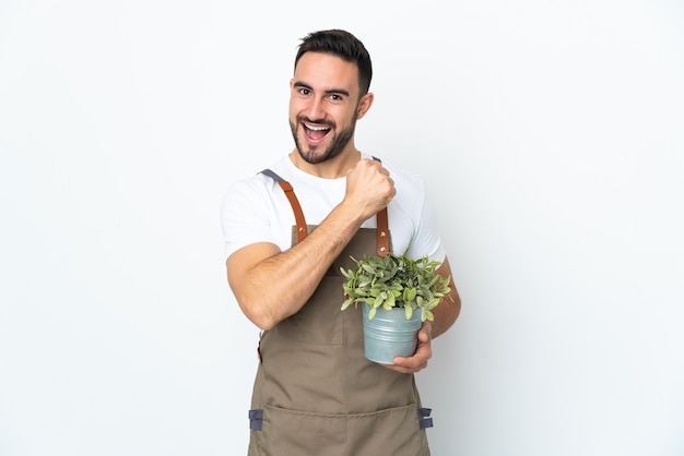 Gardener man holding a plant isolated