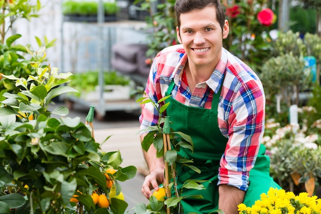 Gardener in market garden or nursery