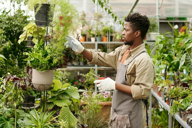 Gardener monitoring the condition of plants
