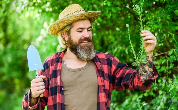 こてで花を植える庭師。栽培。有機性庭に苗を植える農民。幸せな男。庭のベッドの人々。春の庭のコンセプト。庭師は裏庭に花を植えます。