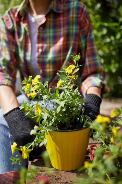 Посадка садовника с инструментами цветочных горшков. Женщина рука сажает цветы петунии в летнем саду дома, на открытом воздухе. Концепция садоводства и цветов.